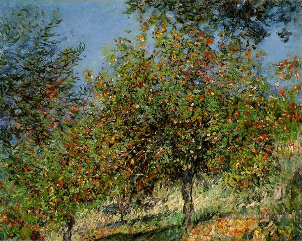 Pommiers sur la colline de Chantemesle Claude Monet Peintures à l'huile